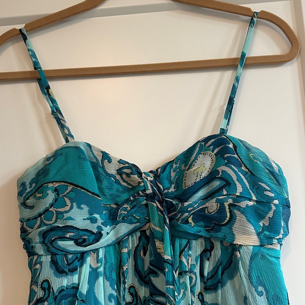 Express Dress - Picture 2 of 6